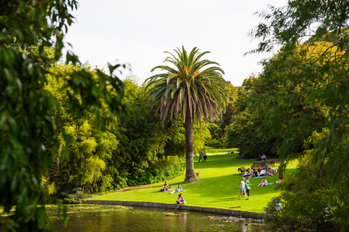 Royal Botanical Gardens 